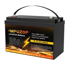 12V 100AH LiFePO4 Lithium Batterie 100A BMS Boot Solar Wohnmobil 6000+ Zyklus