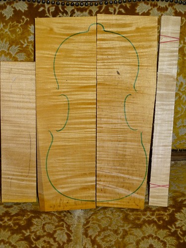 Tonholz tonewood klasse bosn - tonholz,,