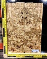 Pappel Wurzelholz Gitarre Top