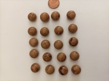 10 Kunststoff-Knöpfe