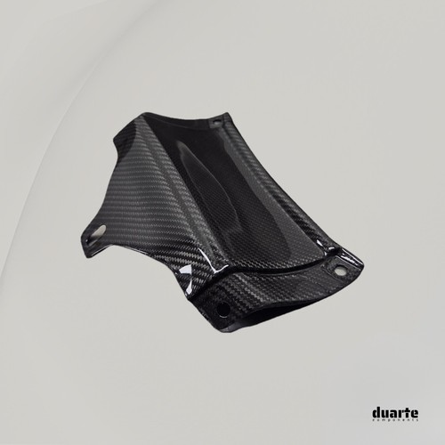 Carbon verkleidung hinten - ,