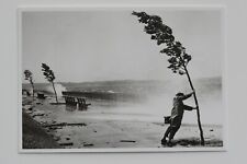 HURRICAN CAROL, Long Island,1954 , Kunst-Postkarte 