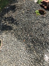 Gartensteine zu verschenken (zum Selber Abholen)