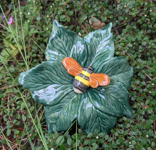 Großes blatt grün mit dicker - großes,