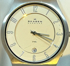 Skagen Titanium Just-date