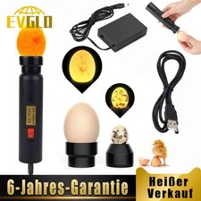 Schierlampe Bruteier