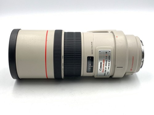 Canon 300mm f4l - is, usm