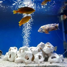 Aquarium   Dekoration  2 Lochsteine   Felsen Stein   ----- Angebot-----