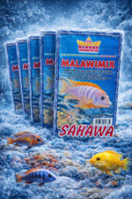 Frostfutter Malawimix Aquarium