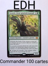 MTG Commander Deck Großer