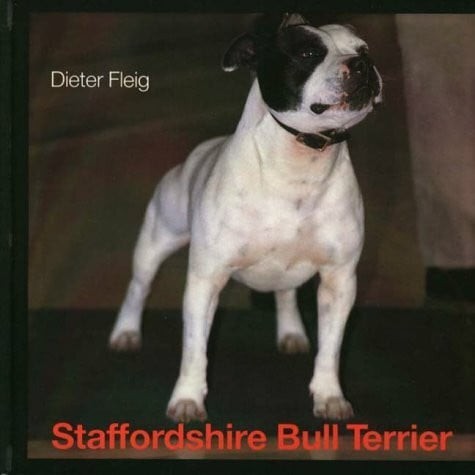 Staffordshire bull terrier - staffordshire,