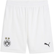 Puma Sport Shorts BVB Shorts