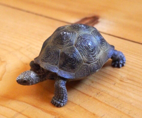 Schleich schildkröte groß - schleich,