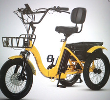 Dreirad E Bike Damen u. Herren