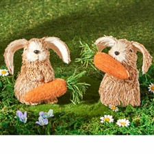 ein allerliebstes Hase Paar