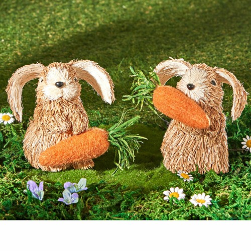 Ein allerliebstes hase - ein,