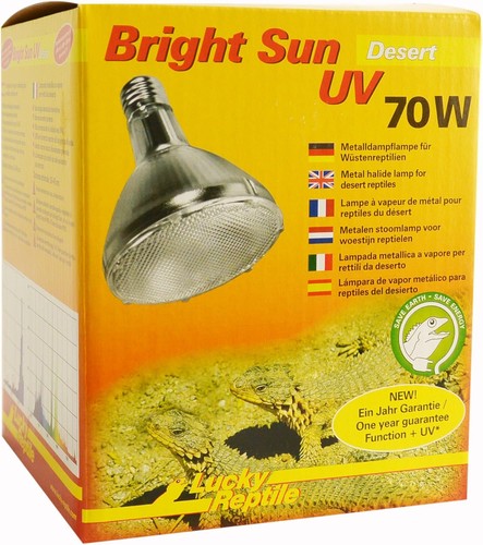 Bright sun desert - -, w