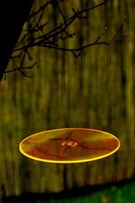 3 x Cazador del Sol -