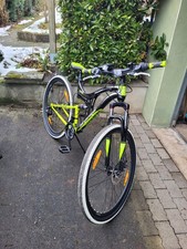 Bergsteiger Kodiak 29 Zoll