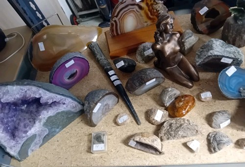 Ammonit fossilplatte - ammonit, fossilplatte/