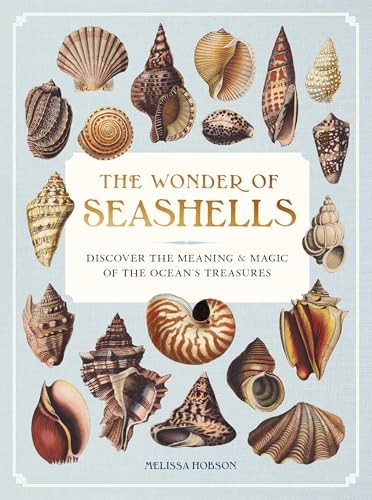Wonder seashells discover - seashells,