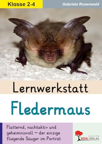 Lernwerkstatt fledermaus - lernwerkstatt,