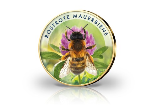 Euro vergoldet rostrote - 2,