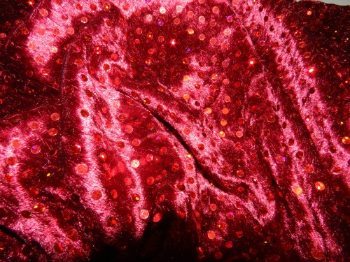 Pannesamt samt bordeaux mit - samt,