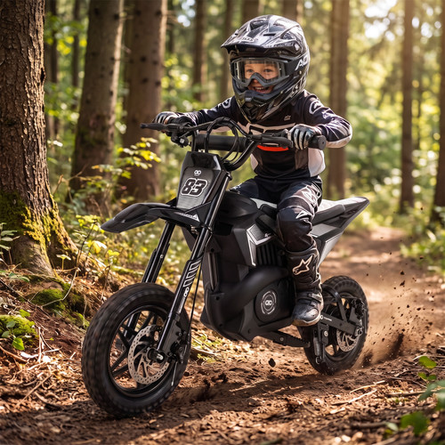 Kinder crossbike elektro - kinder,