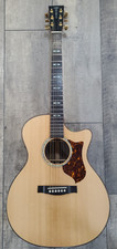 Martin gpcpa1 performing - martin,