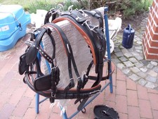 1-spänner Brustblattgeschirr