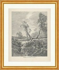 Birkenwäldchen Wenglein Bach Bäume Au Natur Äste Wiese Wald Holzstich E 17750