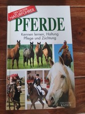 Pferde : kennen lernen