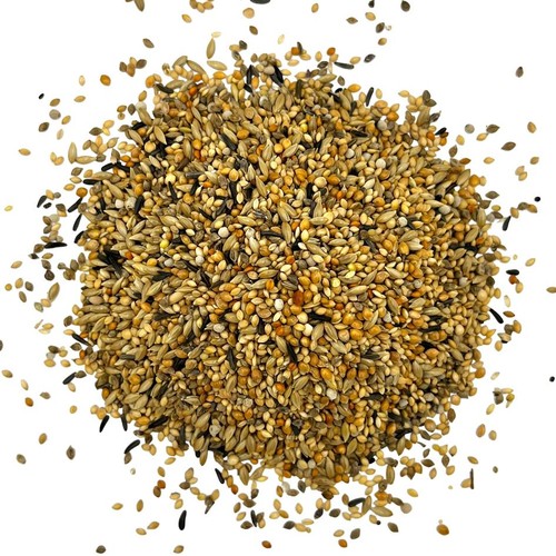 Exotenfutter finkenfutter - exotenfutter,