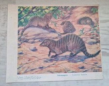 VOSS Margarine Kunstbilder Serie 1 | 26 Stück