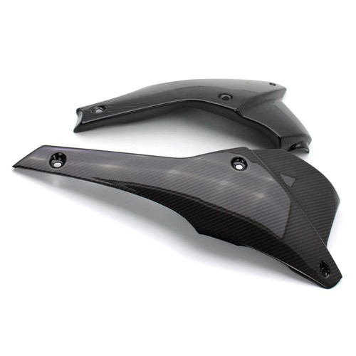 Carbon bugspoiler für triumph - bugspoiler,