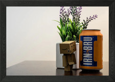 Danbo's Scottish Discovery