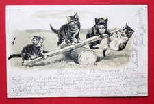 Prägedruck AK KATZE 1902