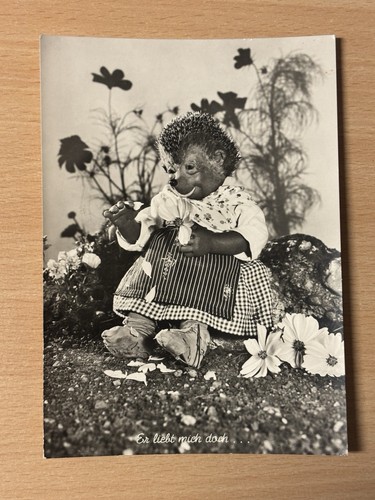 Postkarte igel mecki - postkarte,