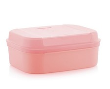 Tupperware Naschkätzchen mittel 1,4 l / 1,7 l Behälter Box Bellevue lachs rosa