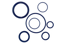 Dichtungssatz O-Ringe Simmerringe für Bosch GBH10DC | GBH11DE (Anker tauschen)