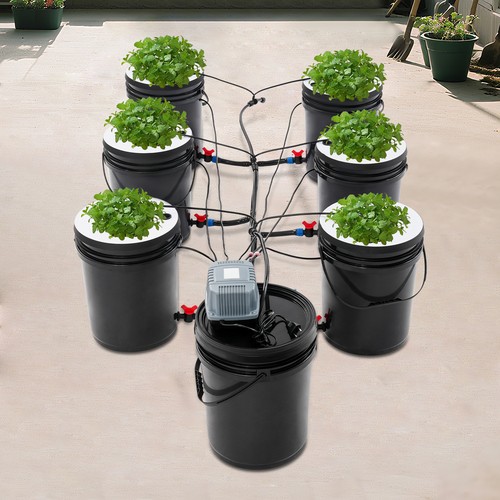 Farmer dwc hydroponik system - dwc,