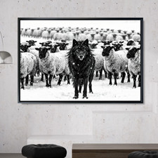 Der Wolf im Schafspelz, Tier