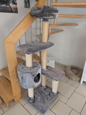 MORE Kratzbaum inkl. 1 neuer Stamm