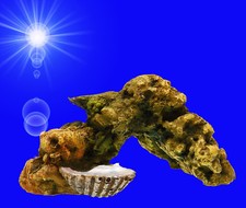 Aquarium Deko kleiner 🐟