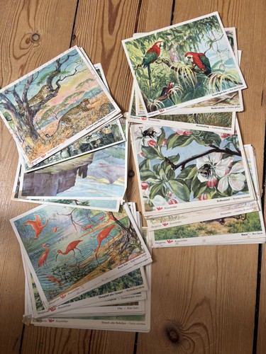 Kunstbilder aus dem - ,