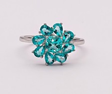 BLAUTOPAS PARAIBABLAU Gr18