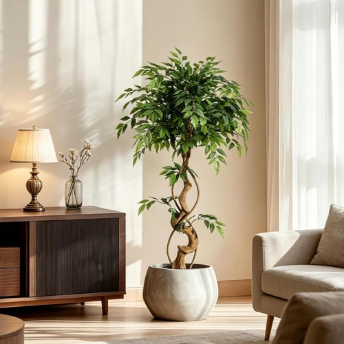Künstlicher ficusbaum mit - künstlicher,