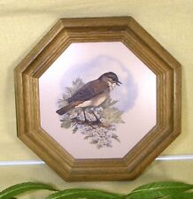 Kachelbild mit Holzrahmen Vogelmotiv - Dorngrasmücke   27 cm achteckig