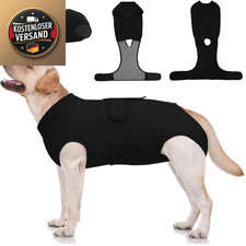 Hundebody nach OP Anti-Leck